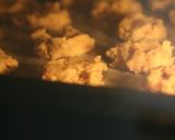 A picture of step 9 of Simple Granola Cookies.