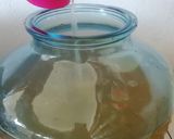 Foto del paso 5 de la receta: Kombucha de maracuyá