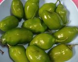 Foto langkah ke 1 dari resep Ase Cabe Gendot.