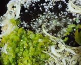 Foto del paso 3 de la receta: Berenjenas con pollo al estilo italo-mediterráneo