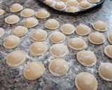 Foto del paso 7 de la receta: Sorrentinos de Calabaza