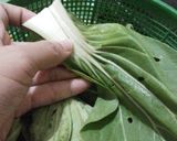 Foto langkah ke 1 dari resep Pokcoy saus tiram.