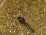 Bubur kacang hijau + Tips