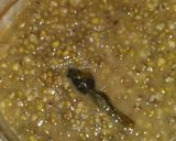 Foto langkah ke 3 dari resep Bubur kacang hijau + Tips.