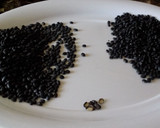 A picture of step 1 of Cuban Style Black Beans.