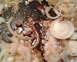 A picture of step 2 of Brie burgers and onions.