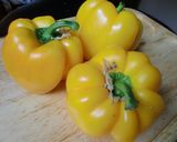 A picture of step 9 of Authentic Turkish Dolma (Rice-Stuffed Peppers).