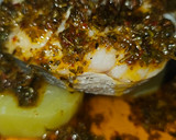 Foto del paso 4 de la receta: Merluza con salsa chimichurri