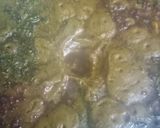 શાક (Shak Recipe in Gujarati) રેસીપી સ્ટેપ8ફોટો