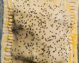 Foto del paso 4 de la receta: No te pierdas esta deliciosa y fácil empanada de atún