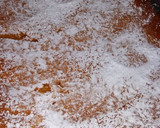 Foto del paso 5 de la receta: Delicioso y esponjoso bizcocho de papaya