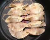 A picture of step 17 of Gyoza Dumplings with Alpine Leek.