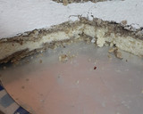 Foto del paso 9 de la receta: Otra tarta de ricotta