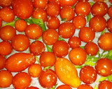 Foto del paso 1 de la receta: Tomate cherry con chipotle, nueces y mermelada de vino tinto