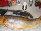 Pescado a la parrilla fácil