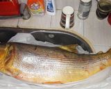 Foto del paso 1 de la receta: Pescado a la parrilla fácil