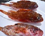 Une image de l'étape 1 de Soupe au potiron 🎃 et rascasse rouge 🐟.