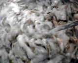 A picture of step 2 of Stovetop Green Bean Casserole W/ Bacon ( thanksgiving ).