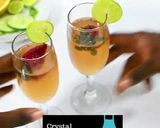 A picture of step 6 of Rosé Spritzer Cocktail.