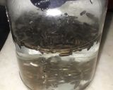 Foto del paso 1 de la receta: Microverdes/ brotes de girasol