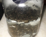 Foto del paso 1 de la receta: Microverdes/ brotes de girasol
