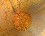 Foto del paso 3 de la receta: Sazonador Naranja y pimienta (Orange Pepper) - Receta aprovechamiento