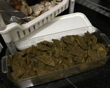 Foto langkah ke 7 dari resep Paru Goreng.