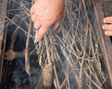 Foto del paso 1 de la receta: Calçot