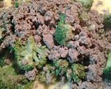 A picture of step 3 of Meaty, Cheesy, Broccoli.