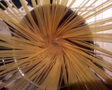 A picture of step 4 of spaghetti bolognese.