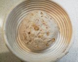 A picture of step 10 of Pain de Campagne With Lots of Walnuts.