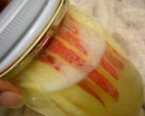 A picture of step 3 of Homemade Apple Leaven (Bread Starter).