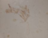Foto del paso 2 de la receta: Budín de banana económico