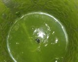 પાલકનો સૂપ (Spinach Soup Recipe In Gujarati) રેસીપી સ્ટેપ3ફોટો