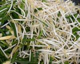 Hình bước làm 9 của món Tép sông ram dừa lửa - lá chanh [Eat clean - Lose weight]