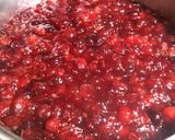 Foto del paso 4 de la receta: Salsa de Arándanos Rojos