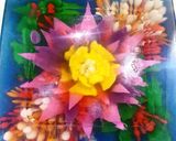 Foto langkah ke 7 dari resep Jelly art.