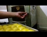 Foto langkah ke 6 dari resep Ide usaha jualan rumahan Roti kasur irit untung banyak.