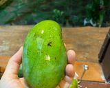 Hình bước làm 1 của món Vào bếp cùng con: bánh tráng cuộn ăn vặt siêu cuốn