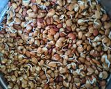 A picture of step 1 of Sprouted Kulith Usal Bhaat - Sprouted Horse Gram Curry With Rice.