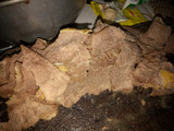 Empal goreng #Bikinramandhanberkesan