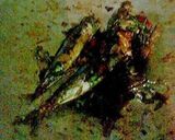 Foto langkah ke 3 dari resep Tumis Pindang Kemangi.