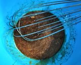 Foto langkah ke 3 dari resep Muffin Wortel (Gluten Free).