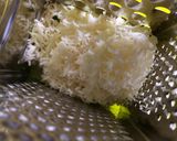 Csirkemell őzgerincben recept recept fázis 5 fotója
