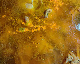 Foto del paso 5 de la receta: Arroz con pollo, conejo y setas