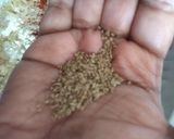 A picture of step 1 of Vanela Gathiya Nu Shaak (Thick handmade Sev Sabji).