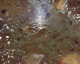 A picture of step 5 of Green coriander & potato curry.