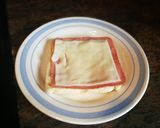 Foto del paso 3 de la receta: Pan Bimbo templado con huevo y queso light