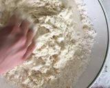 Foto del passaggio 1 della ricetta Piadine acqua, olio e farina