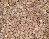 Foto del paso 2 de la receta: Hamburguesas y albóndigas de lentejas y avena